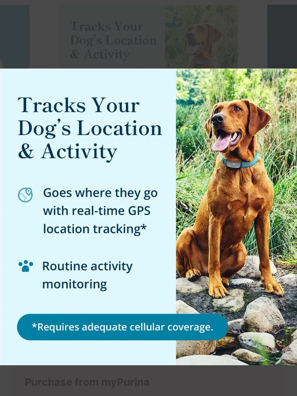 Smart GPS Activity Tracker Monitor Collar for Dogs *Keep Pet From Getting LOST!!